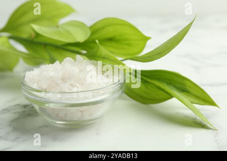 Sel de mer dans un bol en verre et feuilles vertes sur une table en marbre blanc, gros plan Banque D'Images