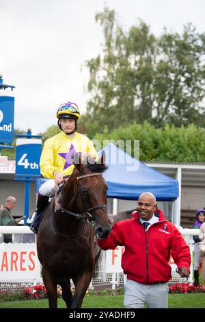 Windsor, Berkshire, Royaume-Uni. 24 août 2024. MY PROSPERO monté par le jockey Cieren Fallon remporte les Weatherbys Global Stallions App Winter Hill Stakes (classe 1) (Groupe 3) au Royal Windsor Racecourse à Windsor, Berkshire, lors de la soirée de clôture estivale. Propriétaire et éleveur Sunderland Holding Inc, entraîneur William Haggas, Newmarket, commanditaire Somerville Lodge Ltd. Crédit : Maureen McLean/Alamy Banque D'Images