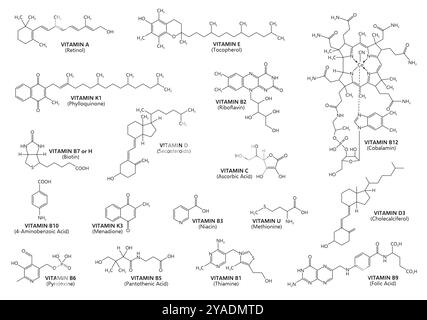 Formules d'acide vitaminique et structure chimique avec chaîne moléculaire, icônes pharmaceutiques vectorielles. Formules d'acides vitaminés avec chaîne de structure d'atomes de molécules et noms médicaux ou pharmaceutiques de vitamines Illustration de Vecteur