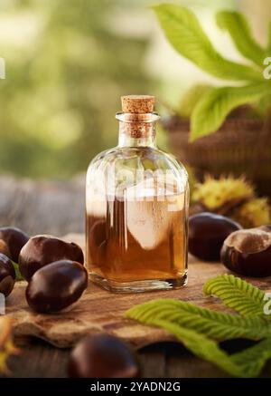 Une bouteille en verre transparent de teinture à base de plantes faite de fruits de châtaigne de cheval frais, à l'extérieur Banque D'Images