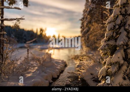 Un paysage d'hiver serein et pittoresque avec une rivière enneigée et des arbres tout autour Banque D'Images