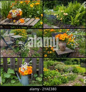 jardin rustique en été - collage avec six photos Banque D'Images