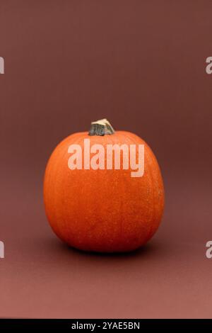 Citrouille orange couchée sur un fond marron. Citrouille d'Halloween. Photo de haute qualité Banque D'Images