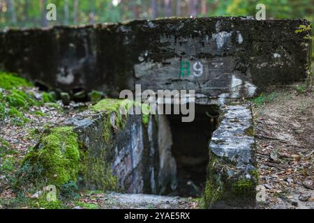 Une mystérieuse cachette secrète cachée dans les bois. L'entrée sombre du bunker et son environnement envahi par la végétation créent un air d'intrigue. Idéal pour la fantaisie, a Banque D'Images