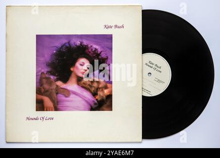 Reprise LP et vinyle de Hounds of Love, le cinquième album studio de l'auteur-compositeur britannique Kate Bush, sorti en 1985 Banque D'Images