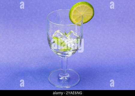 Un verre d'eau avec une tranche de citron vert et des feuilles de menthe flottant sur le dessus Banque D'Images