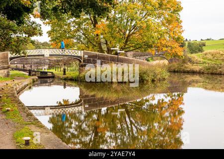 Le canal de Caldon à sa jonction avec la branche Leek du canal de Caldon à Hazelhurst jonction Staffordshire en automne Banque D'Images