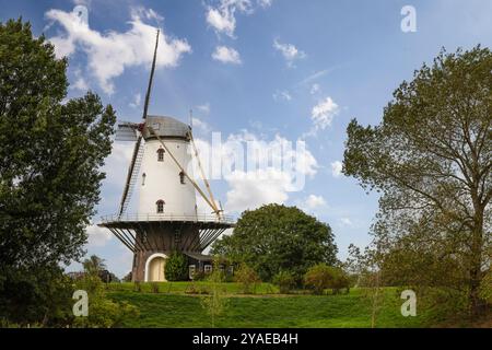 Moulin à maïs en bordure du village de Veere dans la province de Zélande aux pays-Bas. Banque D'Images