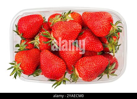 chemin des fraises isolé sur blanc vue de dessus Banque D'Images