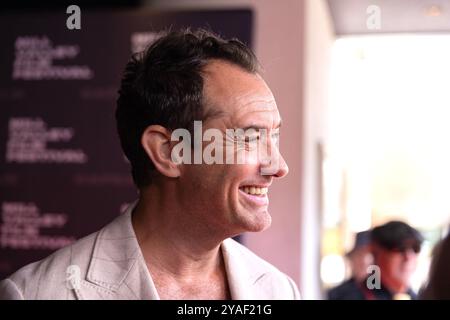 San Rafael, États-Unis. 13 octobre 2024. Jude Law assiste à un hommage spécial et reçoit le Mill Valley film Festival Award au 47e Mill Valley film Festival au Smith Rafael film Center le 13 octobre 2024 à San Rafael, Californie. PHOTO : Picture Happy/imageSPACE pour MVFF crédit : Imagespace/Alamy Live News Banque D'Images