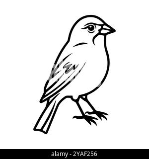 icône canari ou symbole de ligne moderne. Dessin au trait vectoriel et conception d'icône avec contour audacieux. Noir et blanc Pixel Perfect symbole minimaliste blanc isolé Illustration de Vecteur