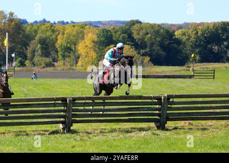 Geneseo, NY, États-Unis - 12 octobre 2024 - Horse and Rider franchit Un saut au-dessus du bois pendant les courses Genesee Valley Hunt Banque D'Images