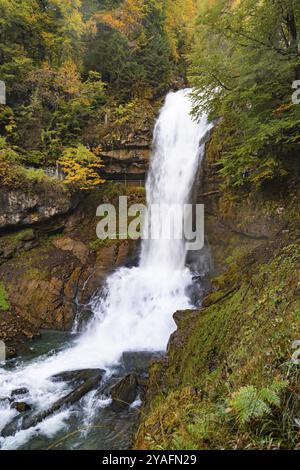 Une impressionnante cascade coule sur des rochers dans une forêt automnale, lac de Brienz, chute de Giessbach, Suisse, Europe Banque D'Images