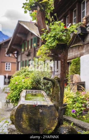 Scène rustique avec un tronc d'arbre servant de fontaine, entouré de fleurs, lac de Brienz, Brienz, Suisse, Europe Banque D'Images