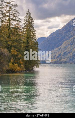 Lac avec rivage boisé et montagnes sous un ciel nuageux, lac de Brienz, Suisse, Europe Banque D'Images