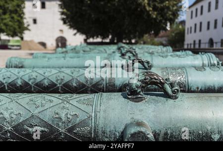 Ingolstadt, Bavière, Allemagne, 07 27 2018 : rangée de canons au Musée de l'Armée du Nouveau château, Europe Banque D'Images