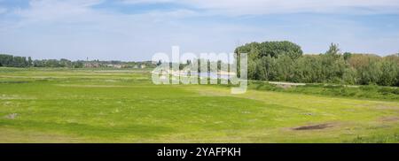 Prairies vertes et arbres dans les zones humides de la vieille Durme, Hamme, Flandre, Belgique, Europe Banque D'Images