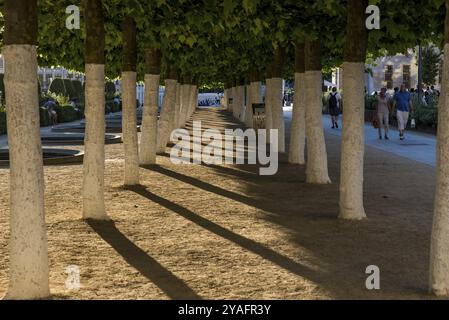 Arbres peints en blanc dans une rangée et piétons au Mont des Arts, Bruxelles, Belgique, mai 2017, Europe Banque D'Images