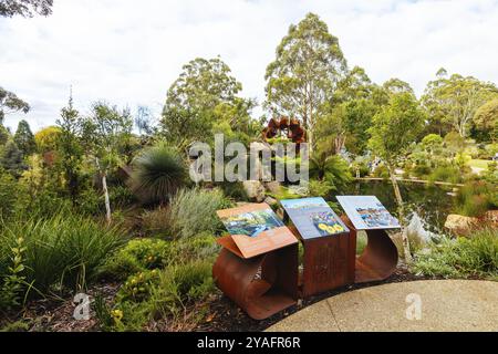 Fin d'après-midi d'automne au jardin botanique de Dandenong Ranges au jardin australien de Chelsea dans le cadre du projet Olinda à Olinda, Victoria, Australie Banque D'Images