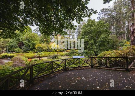 Fin d'après-midi d'automne au jardin botanique de Dandenong Ranges à Olinda, Victoria, Australie Banque D'Images