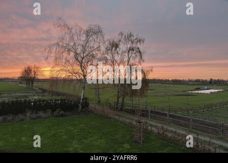 Coucher de soleil orange sur les terres agricoles et les arbres dans la campagne hollandaise près d'Echt, aux pays-Bas Banque D'Images