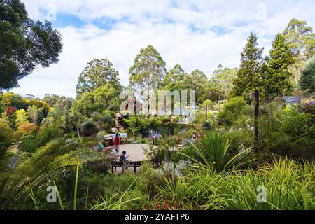 Fin d'après-midi d'automne au jardin botanique de Dandenong Ranges au jardin australien de Chelsea dans le cadre du projet Olinda à Olinda, Victoria, Australie Banque D'Images