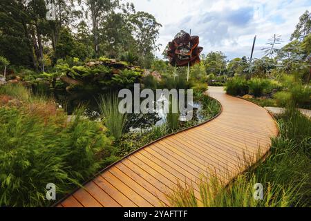 Fin d'après-midi d'automne au jardin botanique de Dandenong Ranges au jardin australien de Chelsea dans le cadre du projet Olinda à Olinda, Victoria, Australie Banque D'Images