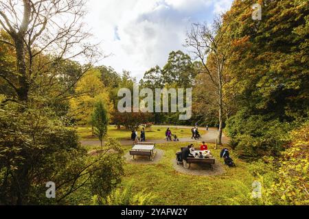 Fin d'après-midi d'automne au jardin botanique de Dandenong Ranges à Olinda, Victoria, Australie Banque D'Images