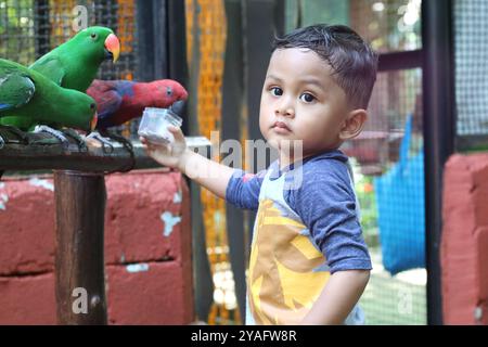 Portrait d'un petit garçon asiatique nourrissant les oiseaux sur les mains dans le parc. Banque D'Images