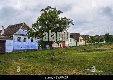 Viscri, Roumanie, 08 03 2016 maisons et fermes colorées traditionnelles dans le style saxon avec un environnement verdoyant, Europe Banque D'Images
