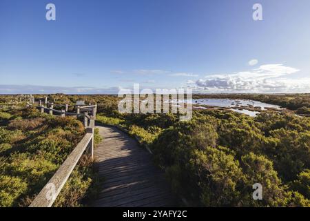 Jawbone Marine Sanctuary un jour d'hiver à Williamstown, Melbourne, Victoria, Australie, Océanie Banque D'Images