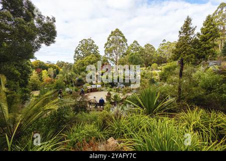 Fin d'après-midi d'automne au jardin botanique de Dandenong Ranges au jardin australien de Chelsea dans le cadre du projet Olinda à Olinda, Victoria, Australie Banque D'Images