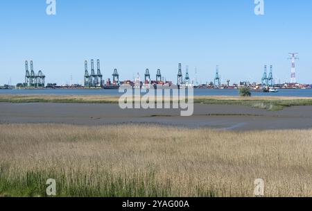 Doel, est, Flandre, Belgique, 06 01 2021 Port maritime et navires et grues internationaux, Europe Banque D'Images