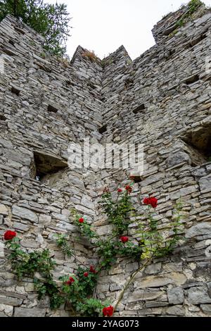 Les roses poussent dans un coin intérieur de l'ancien château de Vezio à Perledo, Lombardie, Italie. Banque D'Images