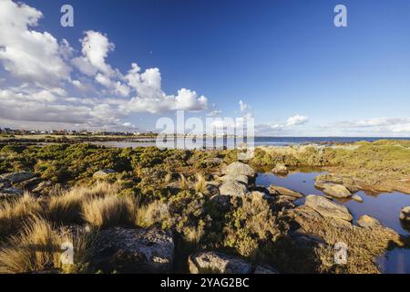 Jawbone Marine Sanctuary un jour d'hiver à Williamstown, Melbourne, Victoria, Australie, Océanie Banque D'Images