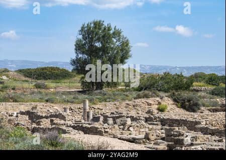 Paphos, district de Paphos, Chypre, vue panoramique sur le site historique de Nea paphos, Europe Banque D'Images