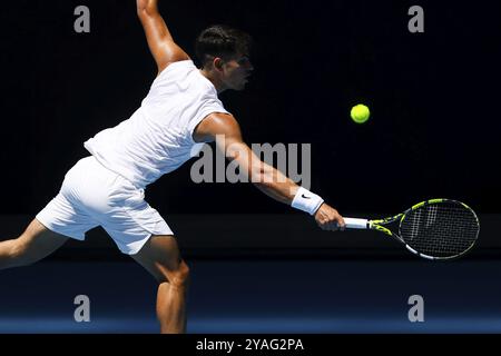 MELBOURNE, AUSTRALIE, 11 JANVIER : Carlos Alcaraz, d’Espagne, termine une séance d’entraînement avec Stan Wawrinka, de Suisse, avant l’australien 2024 Banque D'Images