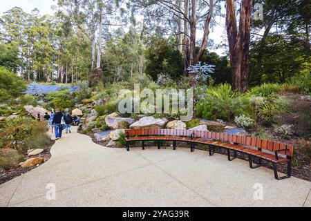 Fin d'après-midi d'automne au jardin botanique de Dandenong Ranges au jardin australien de Chelsea dans le cadre du projet Olinda à Olinda, Victoria, Australie Banque D'Images