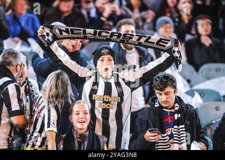 MELBOURNE, AUSTRALIE, 22 MAI : les fans avant Tottenham Hotspur affrontent Newcastle United pendant la semaine mondiale du football au Melbourne Cricket Ground sur le M Banque D'Images