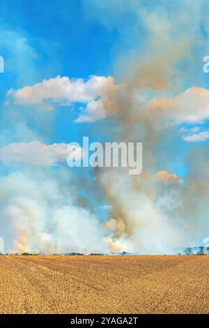 Feu de forêt et grands nuages de fumée dans les prairies et les champs cultivés en été, foyer sélectif Banque D'Images