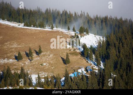 Cabane de montagne isolée nichée parmi les pins enneigés, avec des taches de neige dispersées sur les pentes herbeuses environnantes, créant un paysage d'hiver serein et paisible. Carpates, Ukraine. Banque D'Images