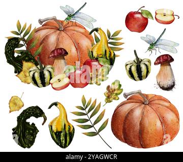 Set composition d'automne de citrouille avec champignons, pommes, feuilles d'automne et libellule, illustration aquarelle sur fond blanc. Récolte d'automne, décor pour Halloween, citrouille classique orange. Banque D'Images