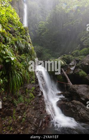 Middleham Falls, parc national de Morne trois Pitons, Dominique Banque D'Images