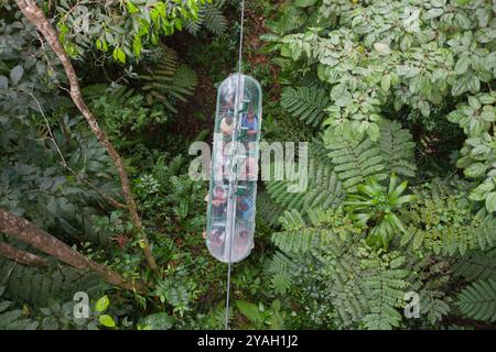 Tramway aérien, Morne trois Pitons, Parc National, Dominique. Banque D'Images