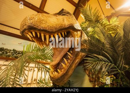 Angleterre, Kent, Maidstone, Musée Maidstone et Galerie d'art, exposition de T-rex Dinosaur Head Banque D'Images