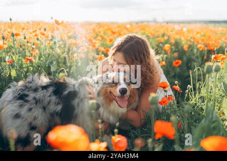 Belle jeune femme et chien de berger australien dans le champ de pavot Banque D'Images