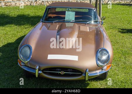 jaguar e type série 1 brun immaculé brun brun brun brillant au soleil sur l'herbe verte d'un salon automobile Banque D'Images