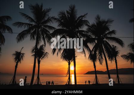 Silhouettes de vacanciers et de palmiers sur la plage au bord de la mer dans la soirée d'été au coucher du soleil dans une station balnéaire en Asie Banque D'Images