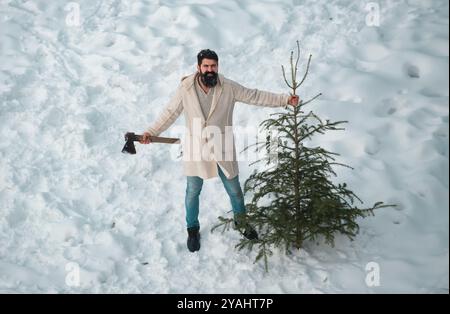 Le jeune homme porte le sapin de Noël dans le bois. Le matin avant Noël. Portrait d'un Père Noël mature brutal. Homme barbu avec fraîchement coupé Banque D'Images