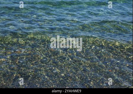 La surface de l'eau est lisse et claire, révélant un lit de petits cailloux lisses en dessous. La lumière brille à travers l'eau, créant un scintillement Banque D'Images